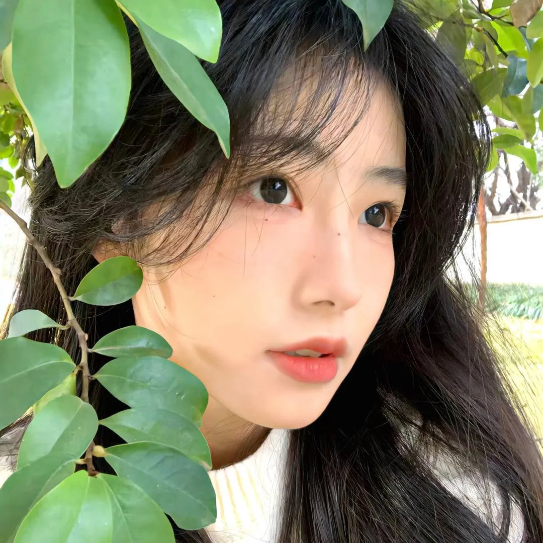 使徒保禄